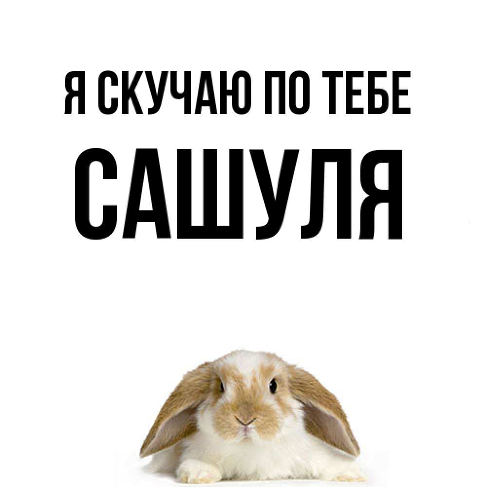 Открытка  с именем. Сашуля, Я скучаю по тебе  