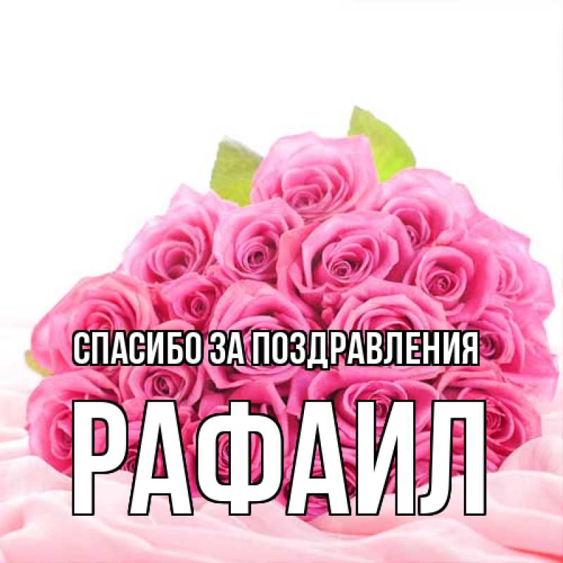 Картинка Спасибо за поздравления, Рафаил