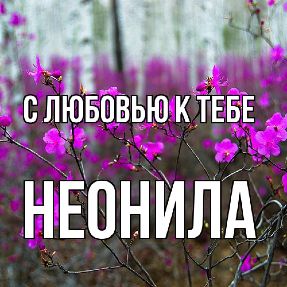 Открытка  с именем. Неонила, С любовью к тебе  