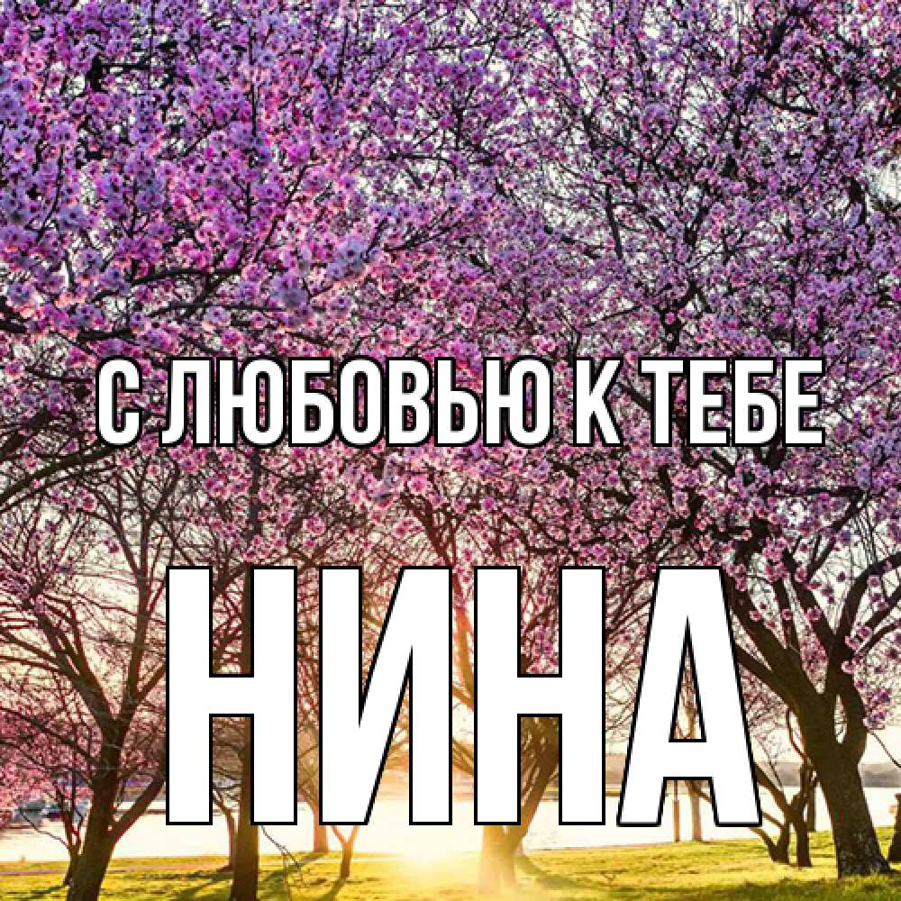 Открытка  с именем. Нина, С любовью к тебе  