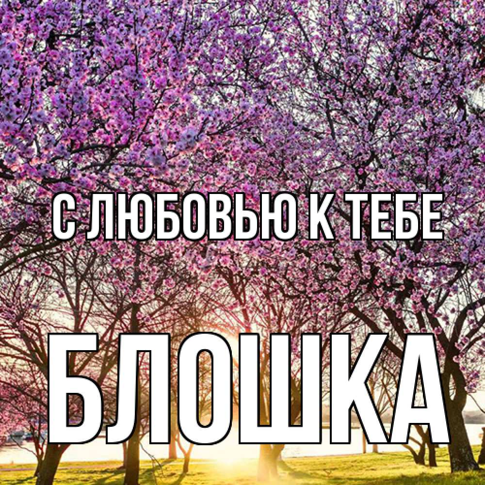 Открытка  с именем. Блошка, С любовью к тебе  