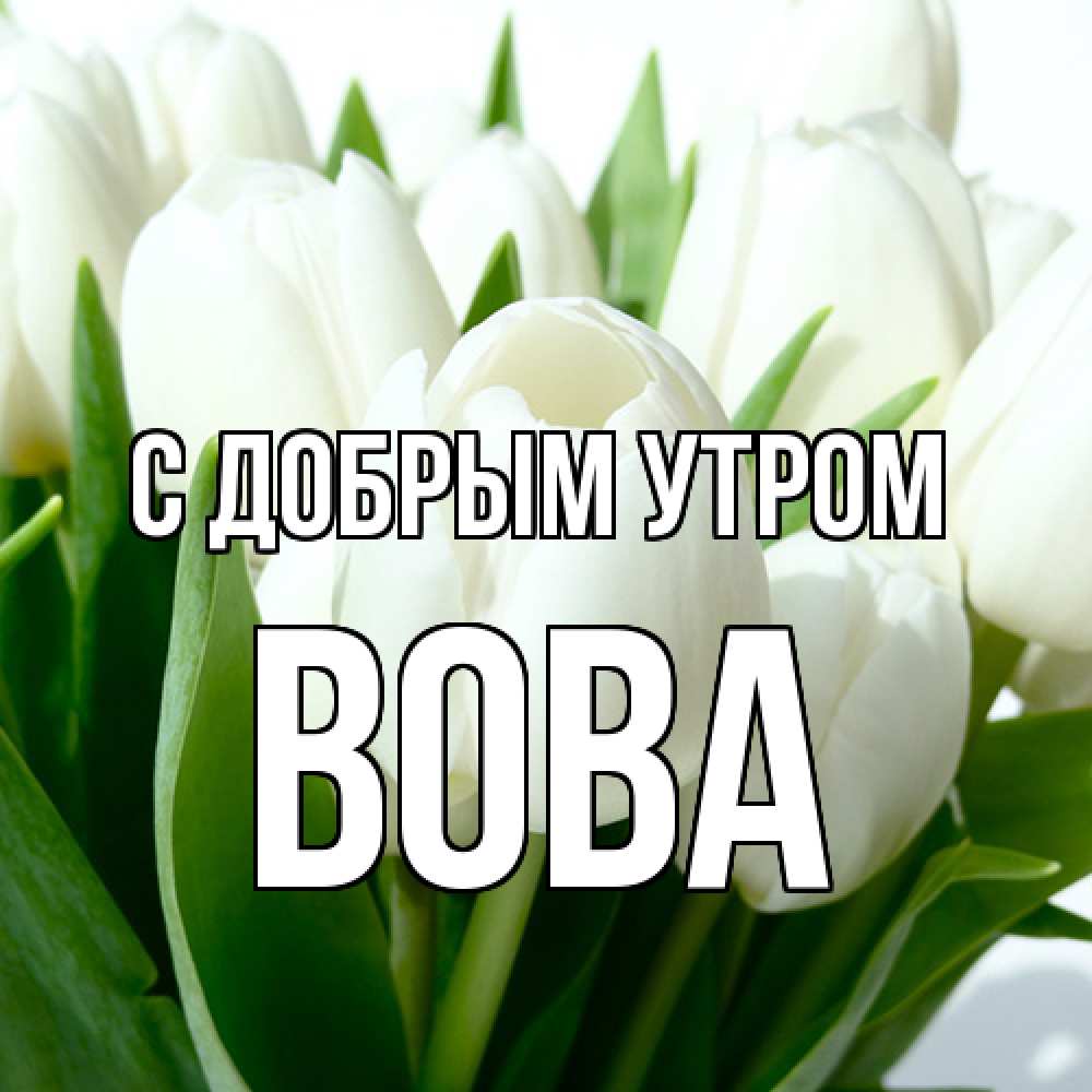 Открытка  с именем. Вова, С добрым утром  