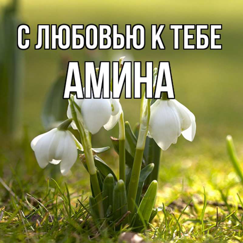 Картинка С любовью к тебе, Амина
