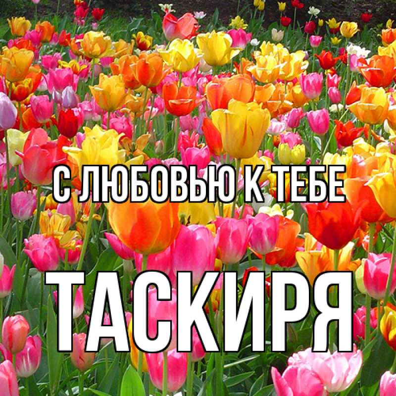 Картинка С любовью к тебе, Таскиря