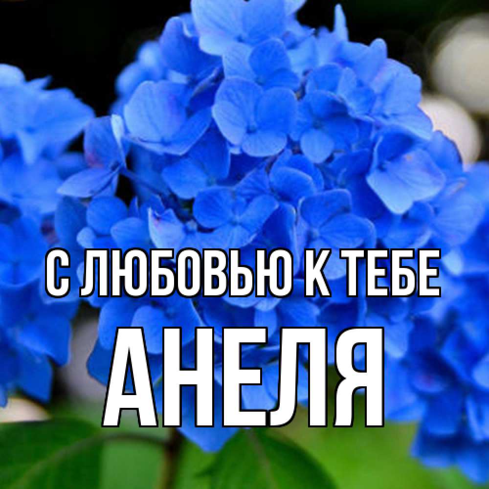 Открытка  с именем. Анеля, С любовью к тебе  
