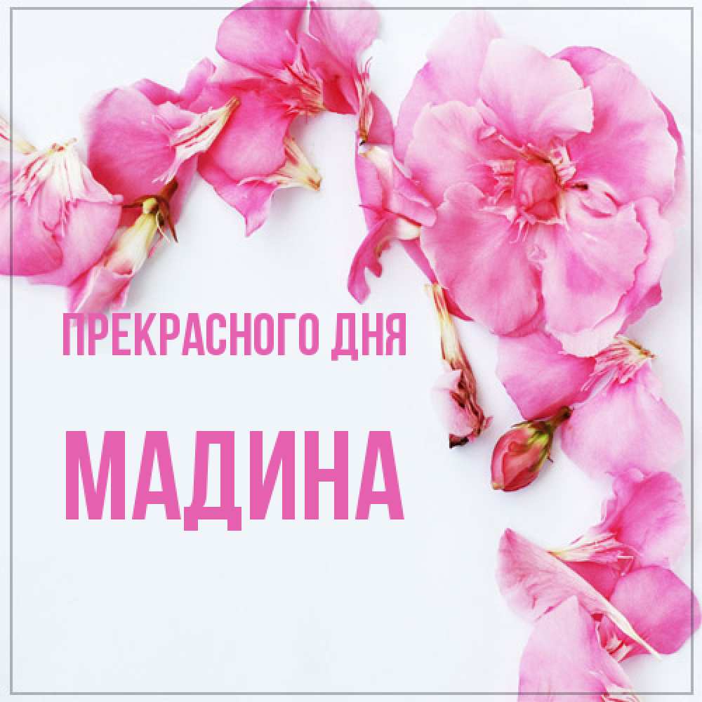 Открытка  с именем. Мадина, Прекрасного дня  