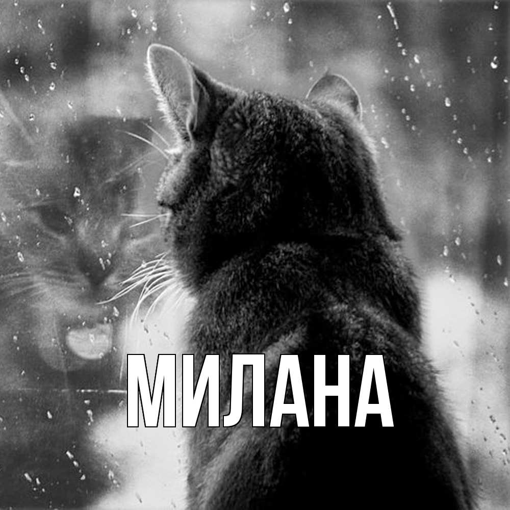Открытка  с именем. Милана, Главная  