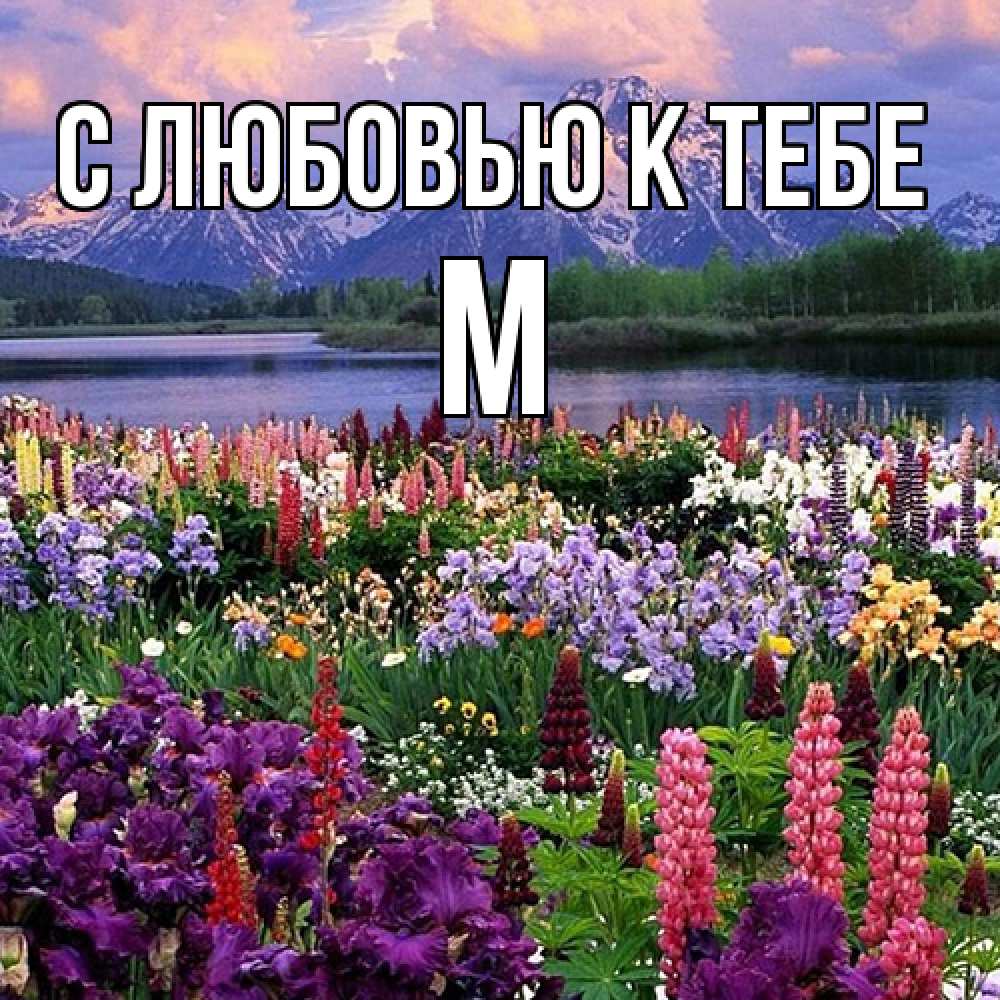 Открытка  с именем. М, С любовью к тебе  