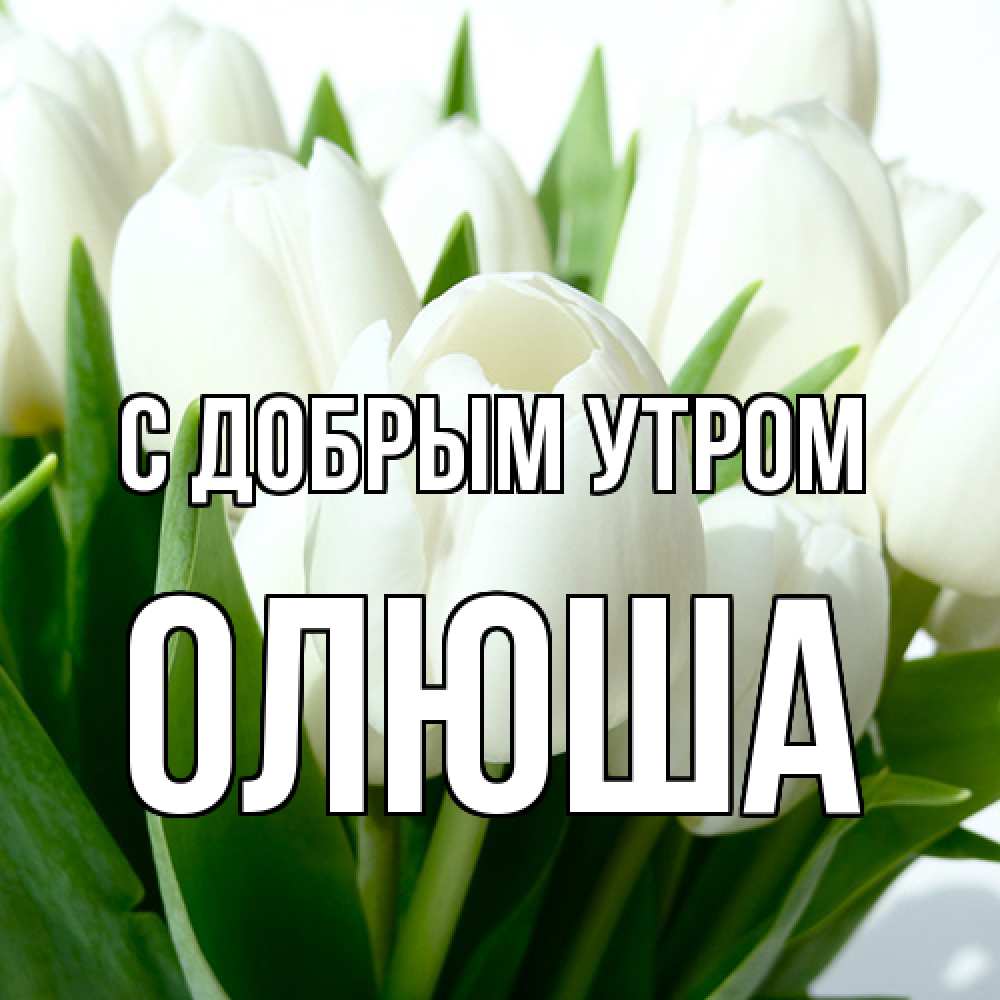 Открытка  с именем. Олюша, С добрым утром  