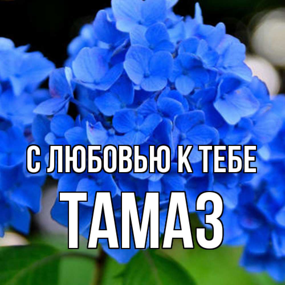 Открытка  с именем. Тамаз, С любовью к тебе  