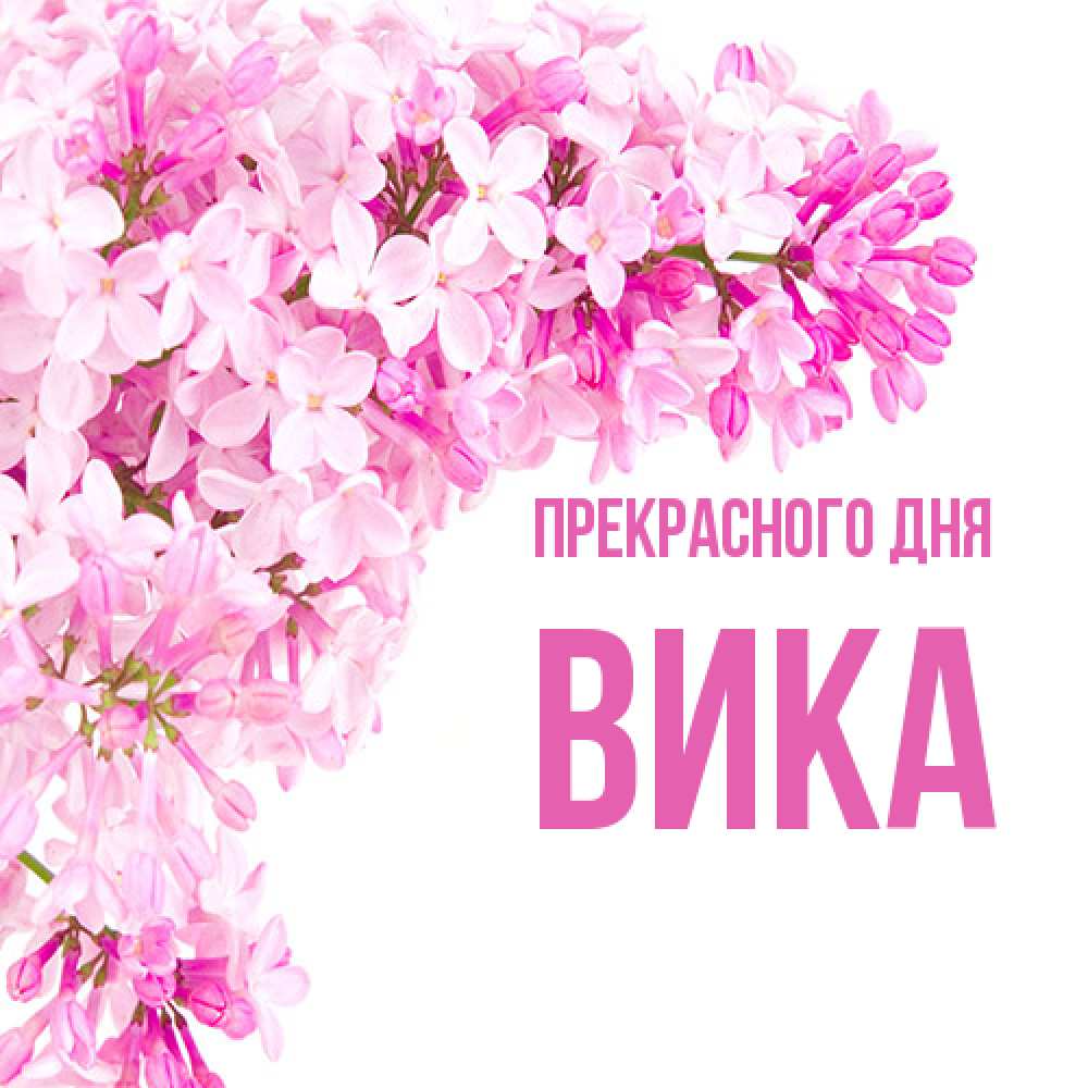 Открытка  с именем. Вика, Прекрасного дня  