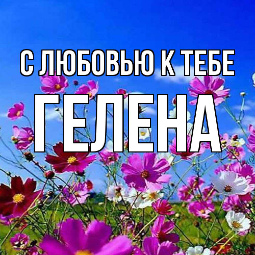 Открытка  с именем. Гелена, С любовью к тебе  