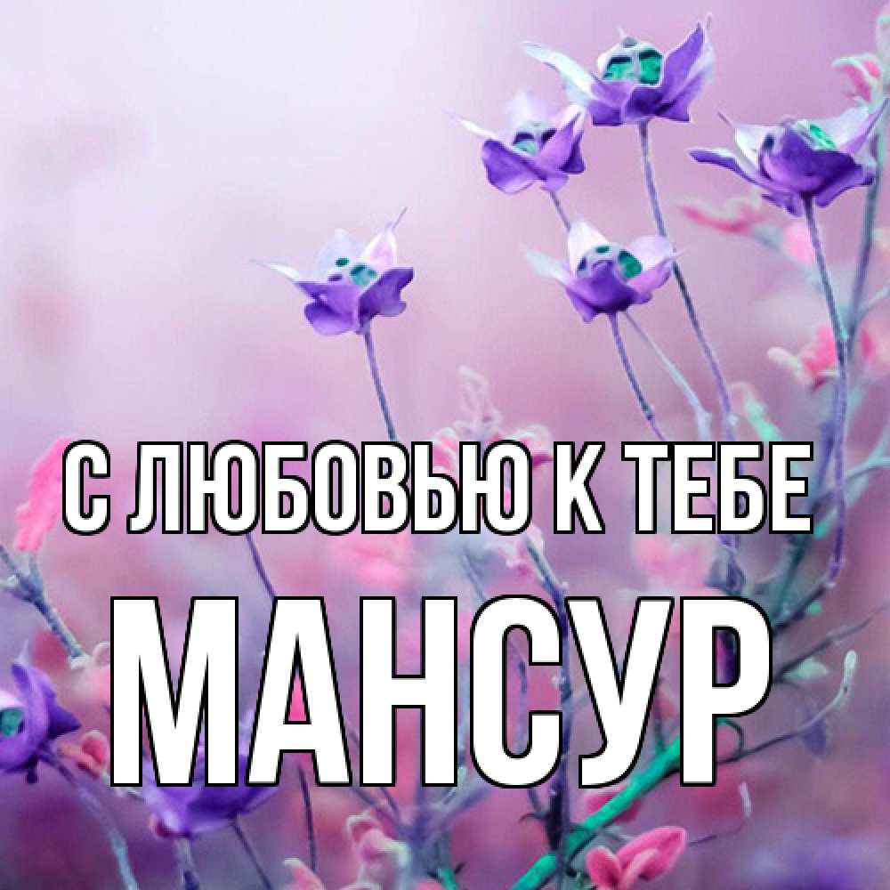 Открытка  с именем. Мансур, С любовью к тебе  