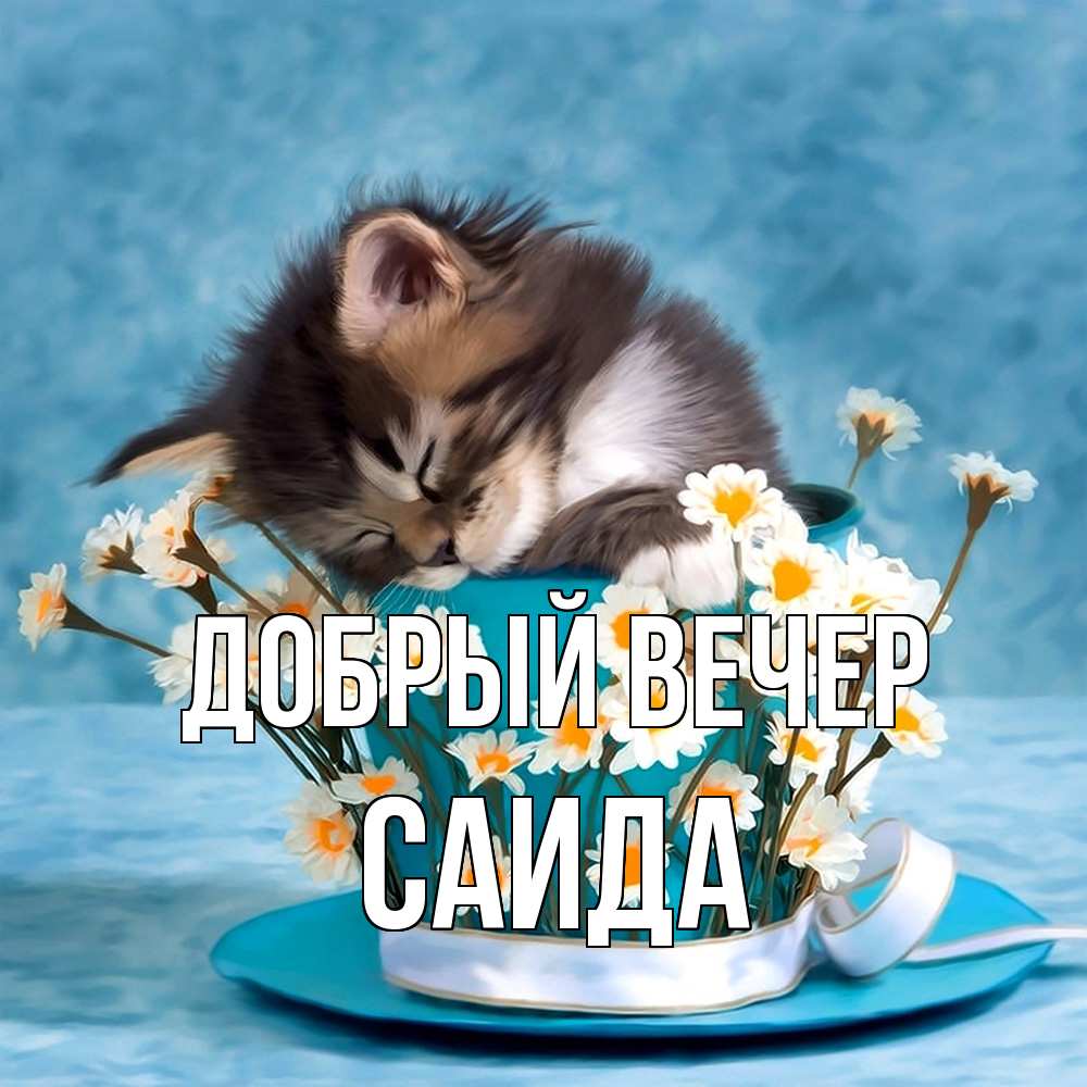 Открытка  с именем. Саида, Добрый вечер  