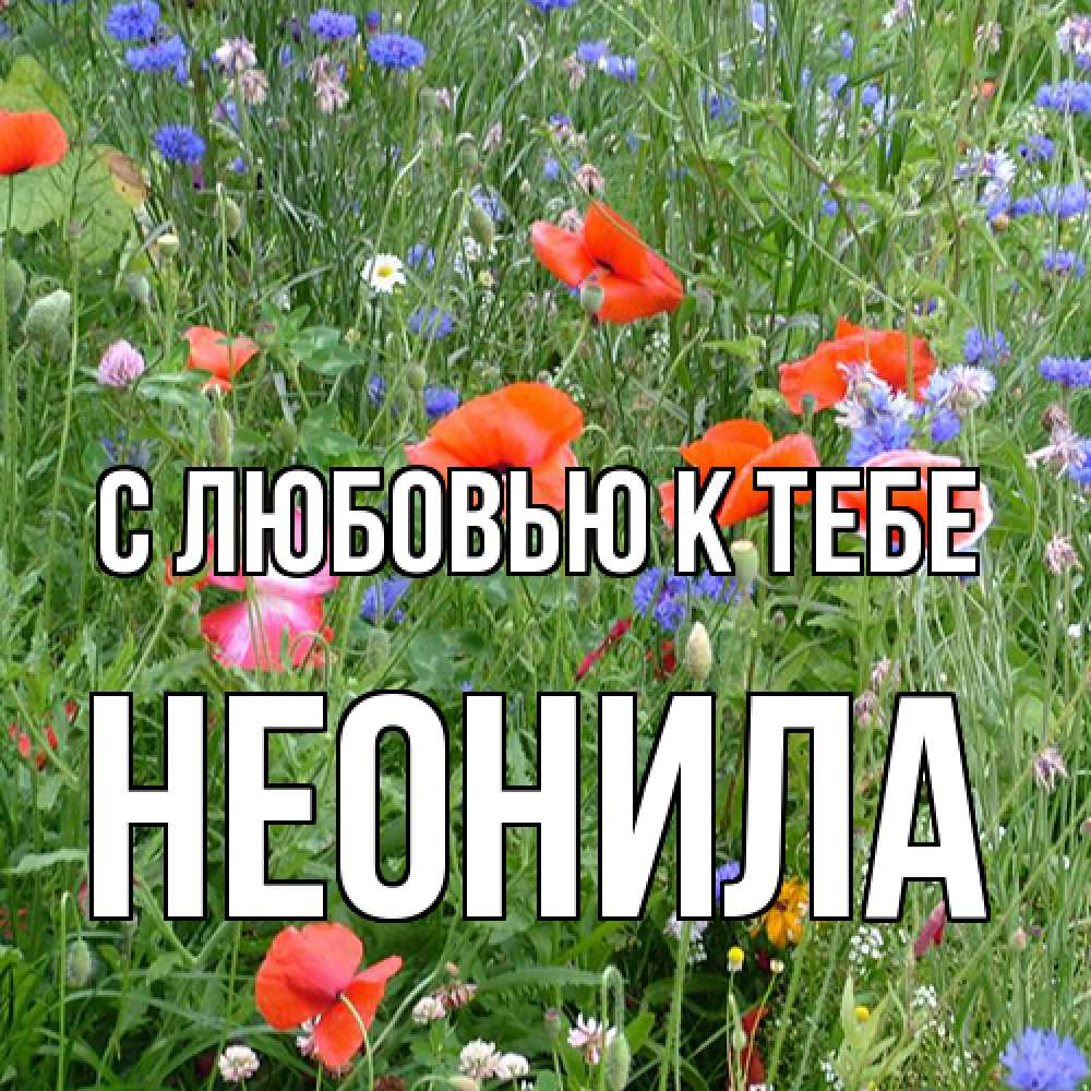 Открытка  с именем. Неонила, С любовью к тебе  