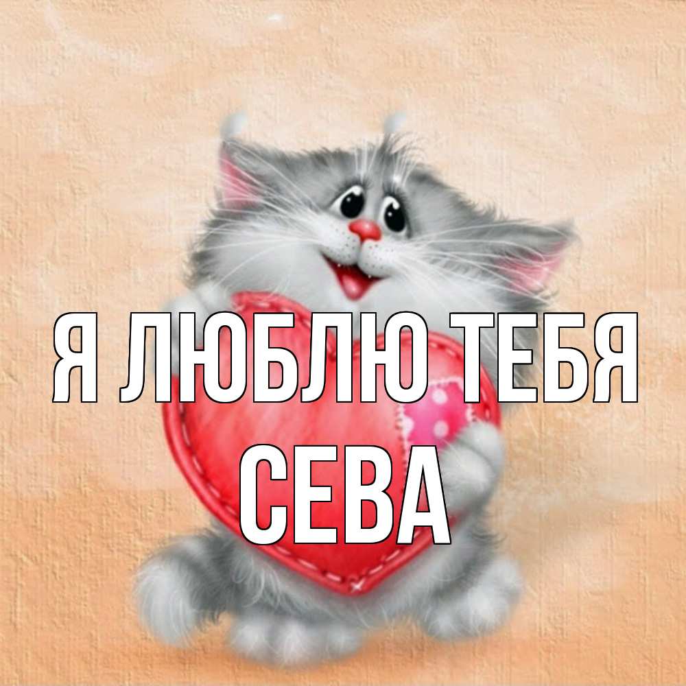 Открытка  с именем. Сева, Я люблю тебя  