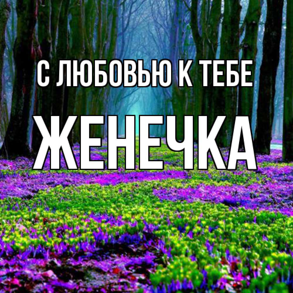 Открытка  с именем. Женечка, С любовью к тебе  