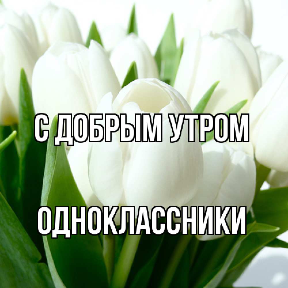 Открытка  с именем. Одноклассники, С добрым утром  