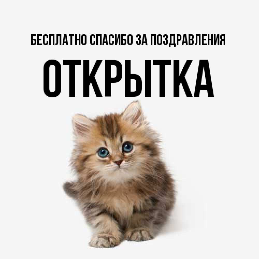 Открытка  с именем. открытка, Спасибо за поздравления  