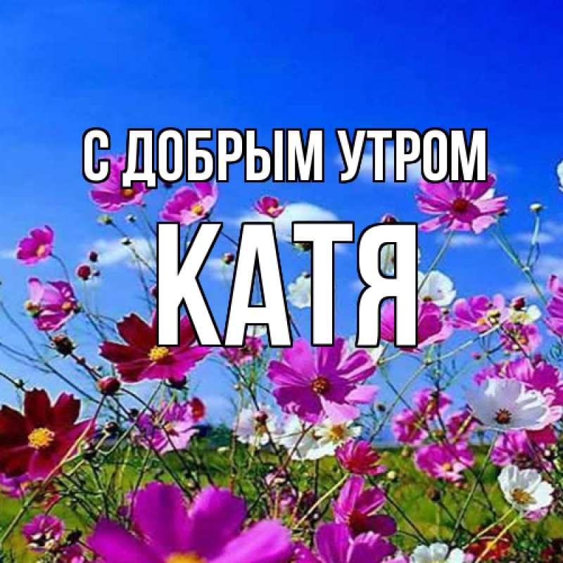 Картинка С добрым утром, Катя