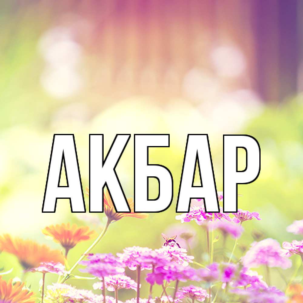 Открытка  с именем. Акбар, Главная  
