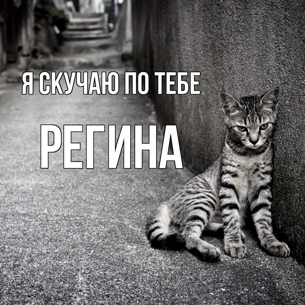 Открытка  с именем. Регина, Я скучаю по тебе  