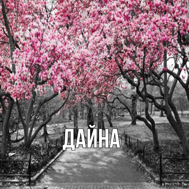 Картинка  с именем , Дайна