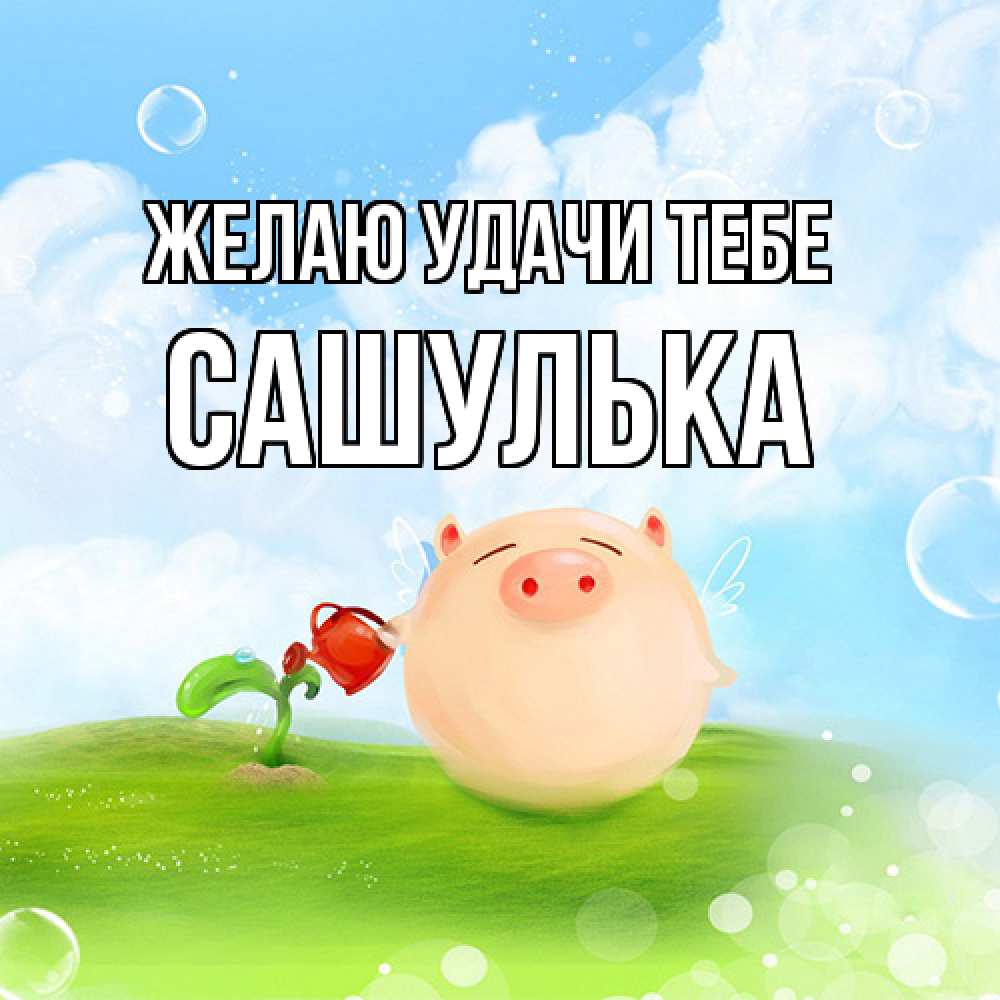 Открытка  с именем. Сашулька, Желаю удачи тебе  