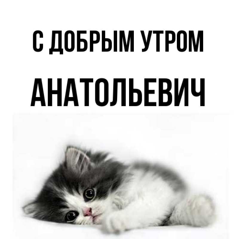 Картинка С добрым утром, Анатольевич