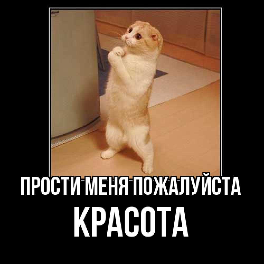 Открытка  с именем. Красота, Прости меня пожалуйста  