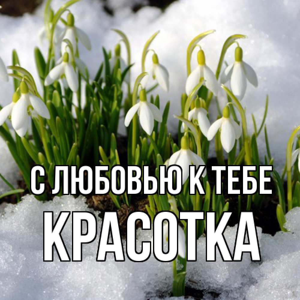 Открытка  с именем. Красотка, С любовью к тебе  