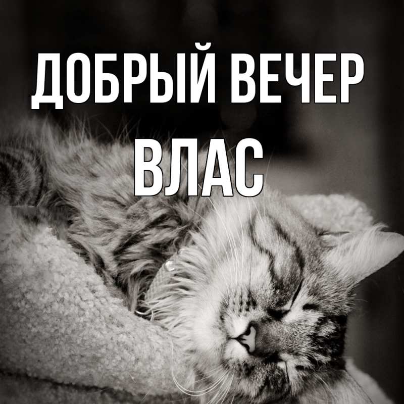Картинка Добрый вечер, Влас