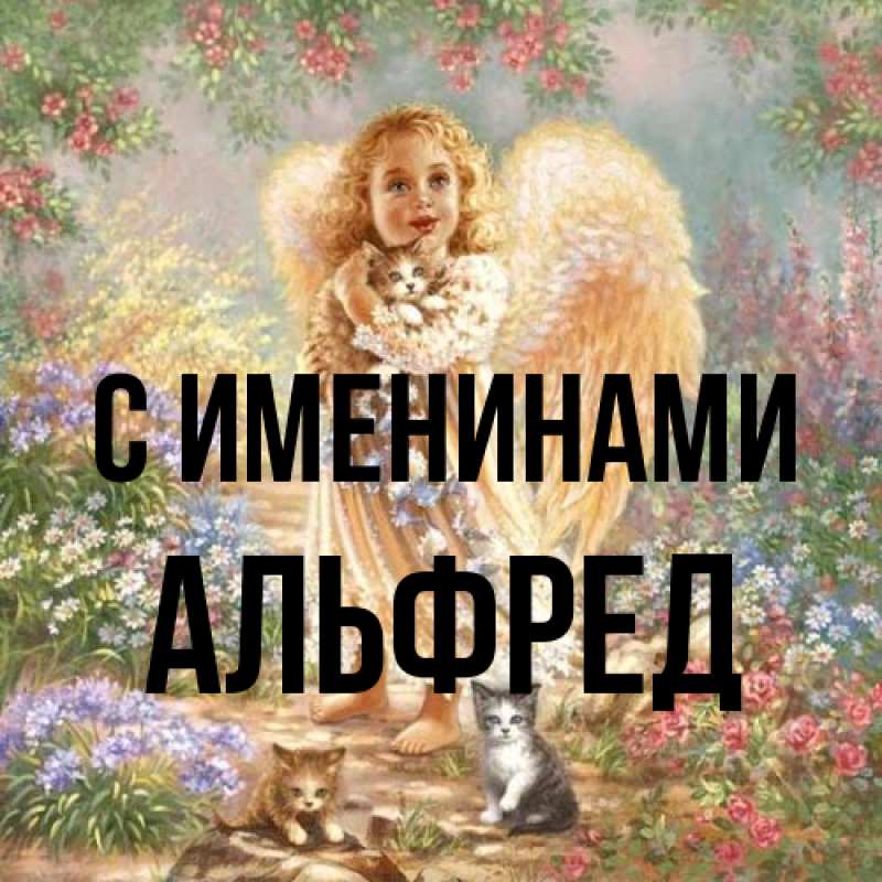 Картинка С именинами, Альфред
