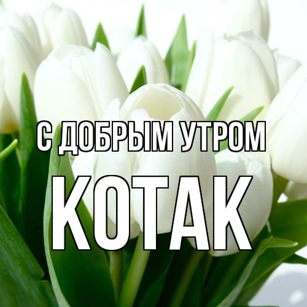 Открытка  с именем. КОТАК, С добрым утром  