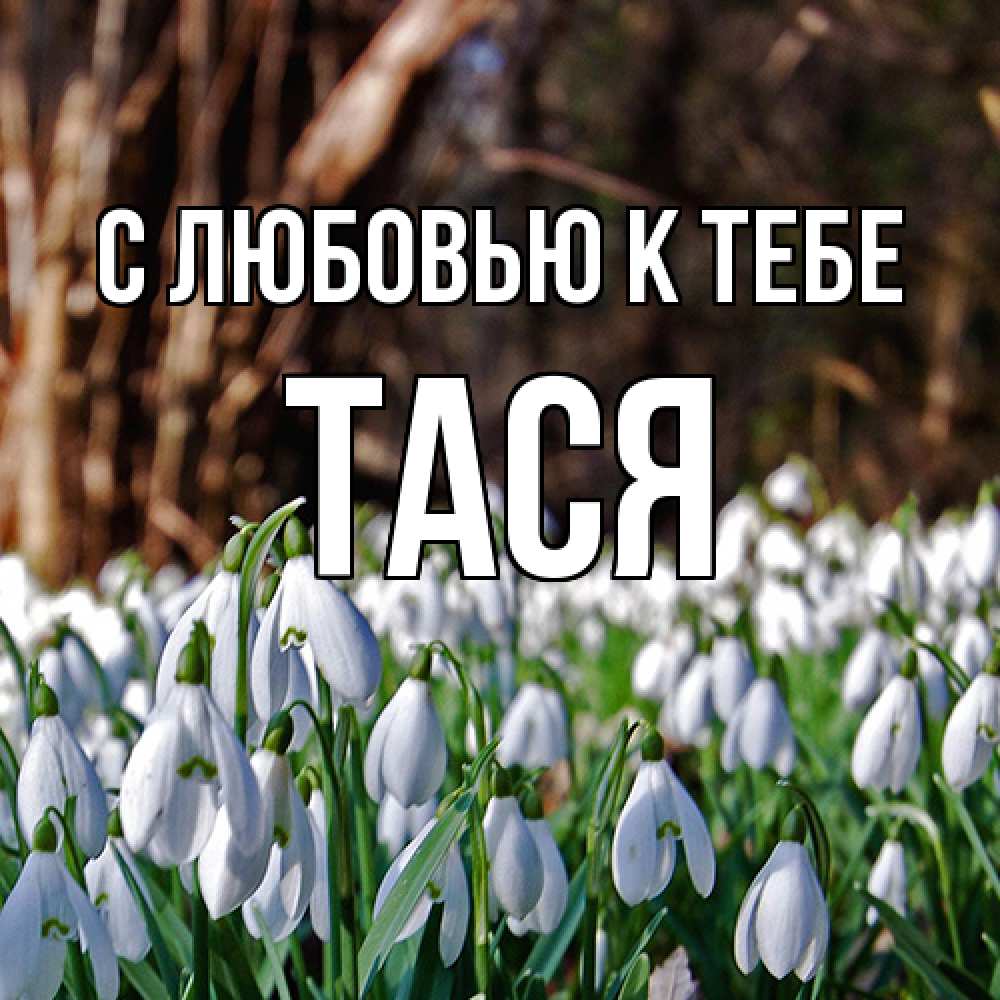 Открытка  с именем. Тася, С любовью к тебе  