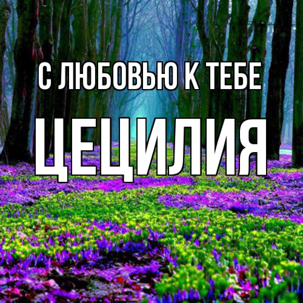 Открытка  с именем. Цецилия, С любовью к тебе  