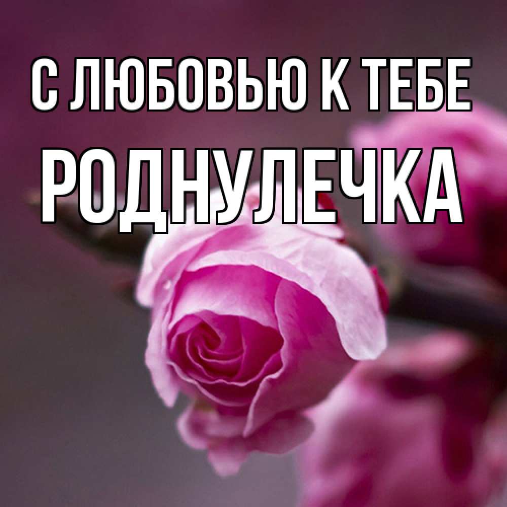 Открытка  с именем. Роднулечка, С любовью к тебе  