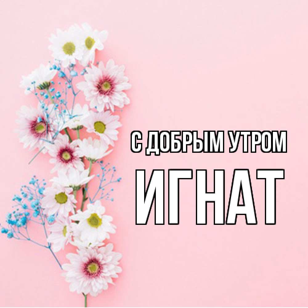 Открытка  с именем. Игнат, С добрым утром  