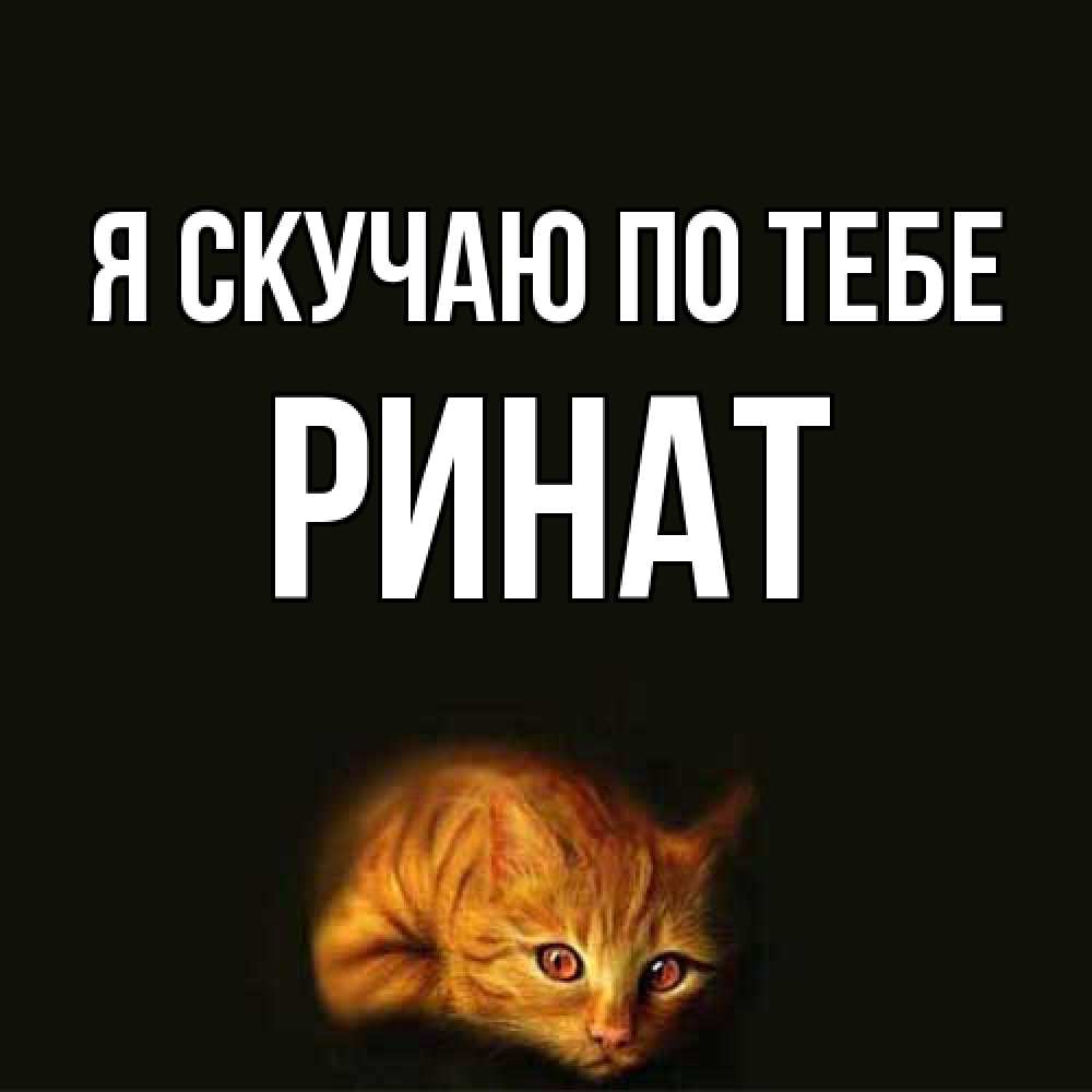 Открытка  с именем. Ринат, Я скучаю по тебе  