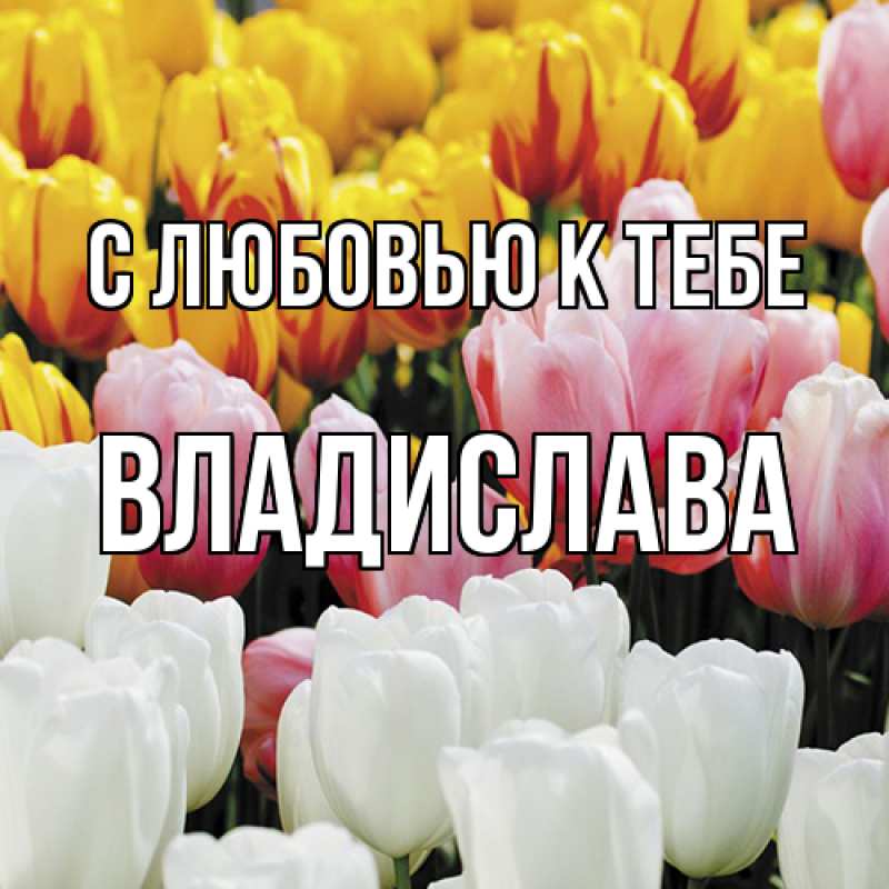 Картинка С любовью к тебе, Владислава