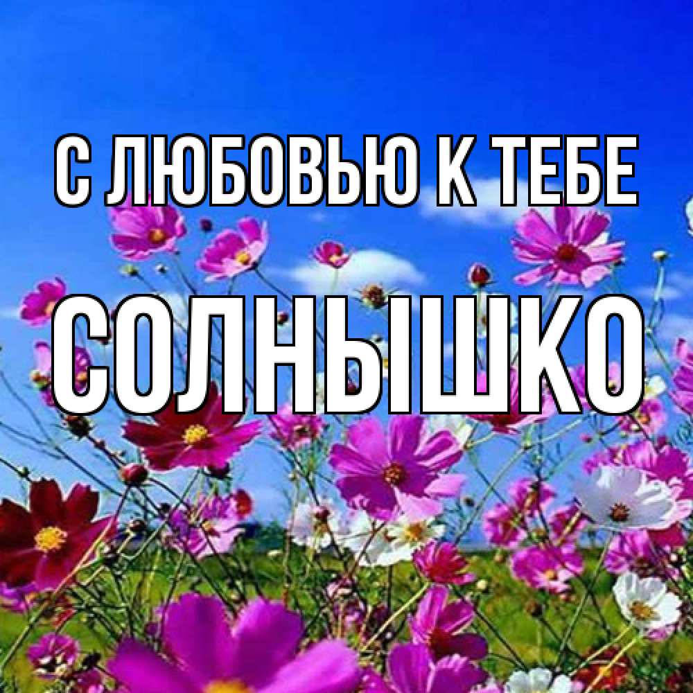 Открытка  с именем. Солнышко, С любовью к тебе  