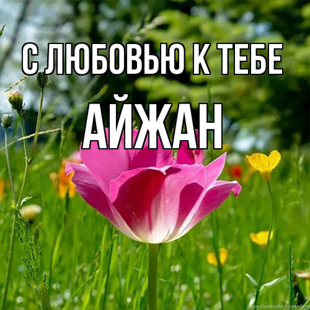 Открытка  с именем. Айжан, С любовью к тебе  