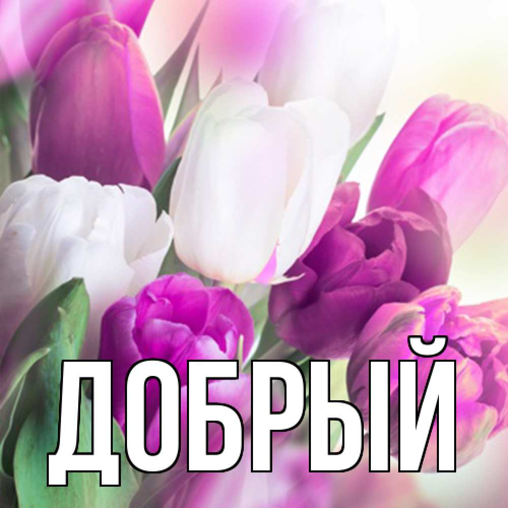 Открытка  с именем. Добрый, Главная  