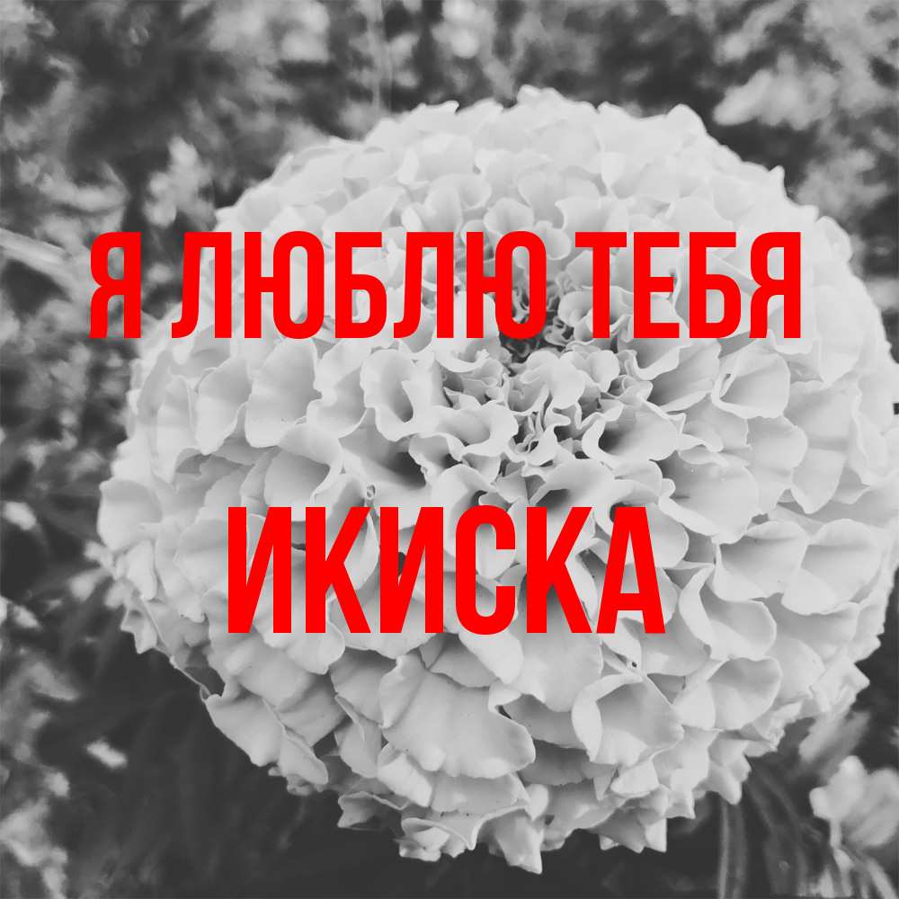 Открытка  с именем. ИКИСКА, Я люблю тебя  