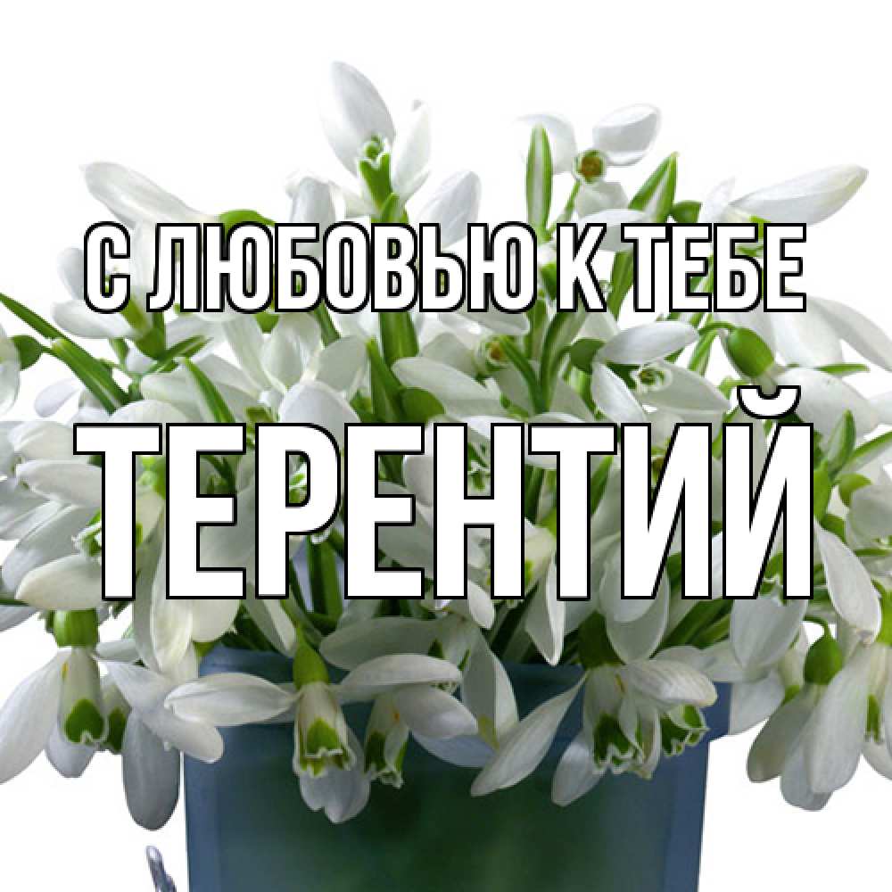 Открытка  с именем. Терентий, С любовью к тебе  