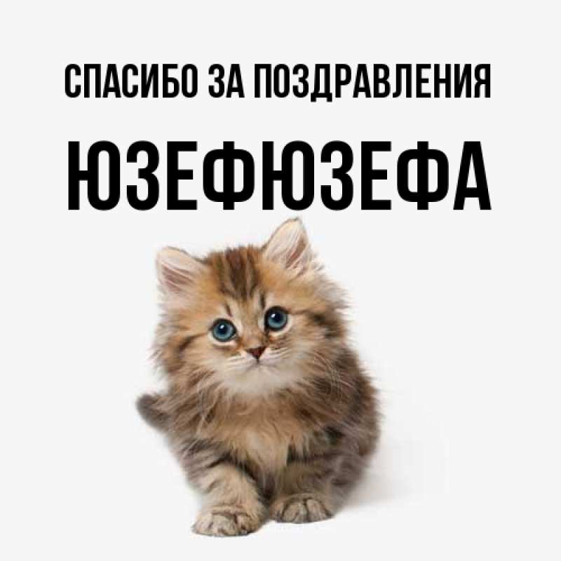 Картинка Спасибо за поздравления, Юзефюзефа