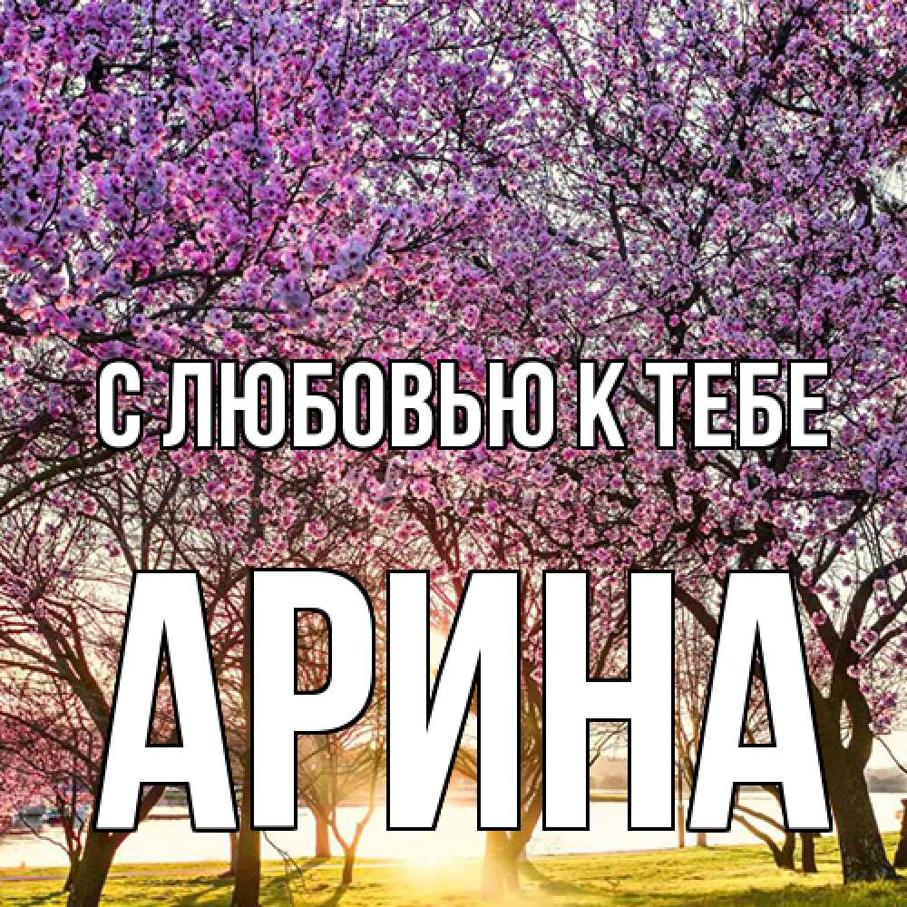 Открытка  с именем. Арина, С любовью к тебе  