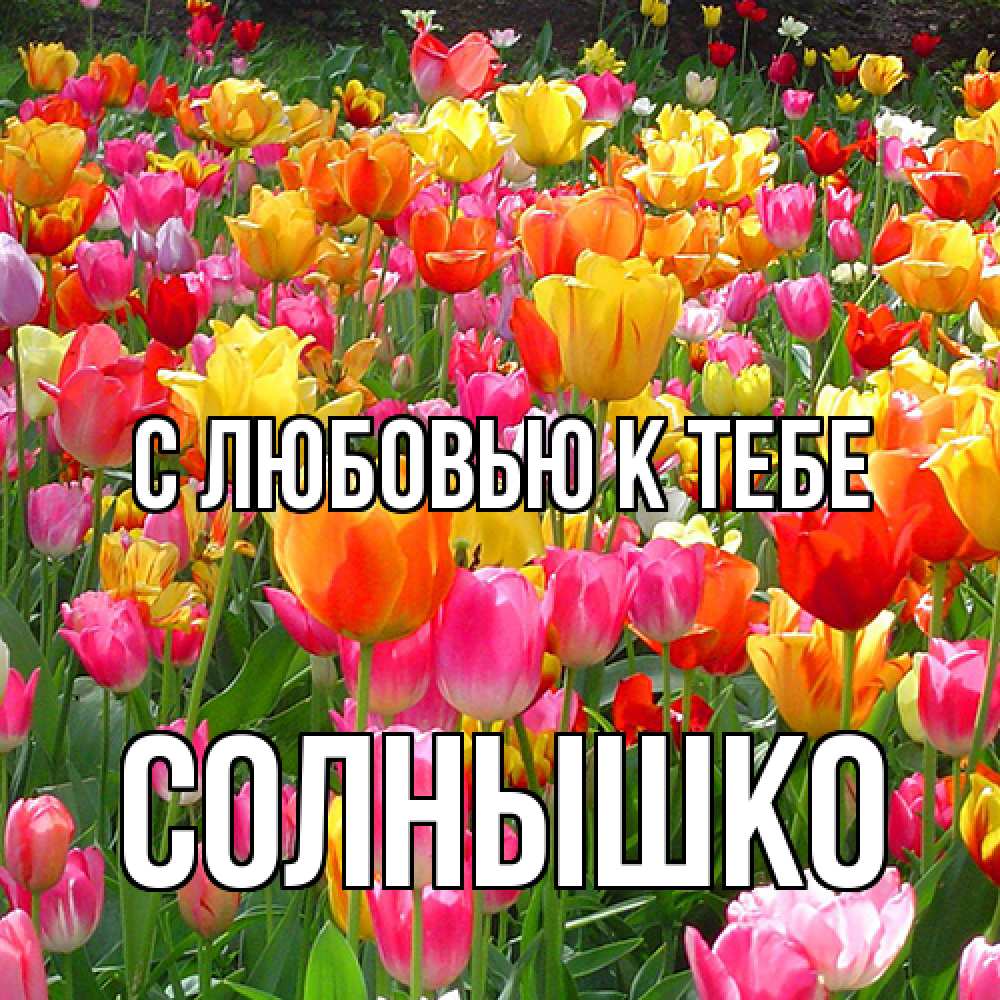 Открытка  с именем. Солнышко, С любовью к тебе  