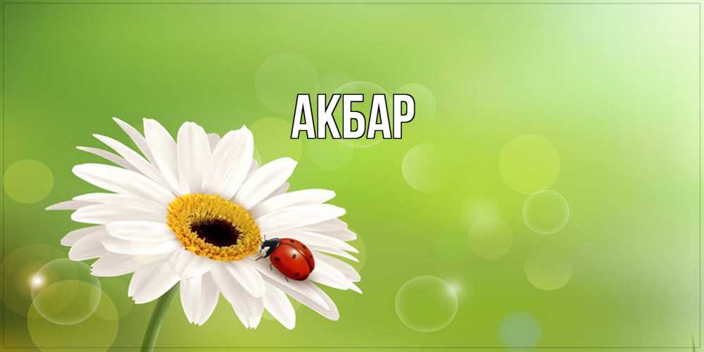 Открытка  с именем. Акбар, Главная  