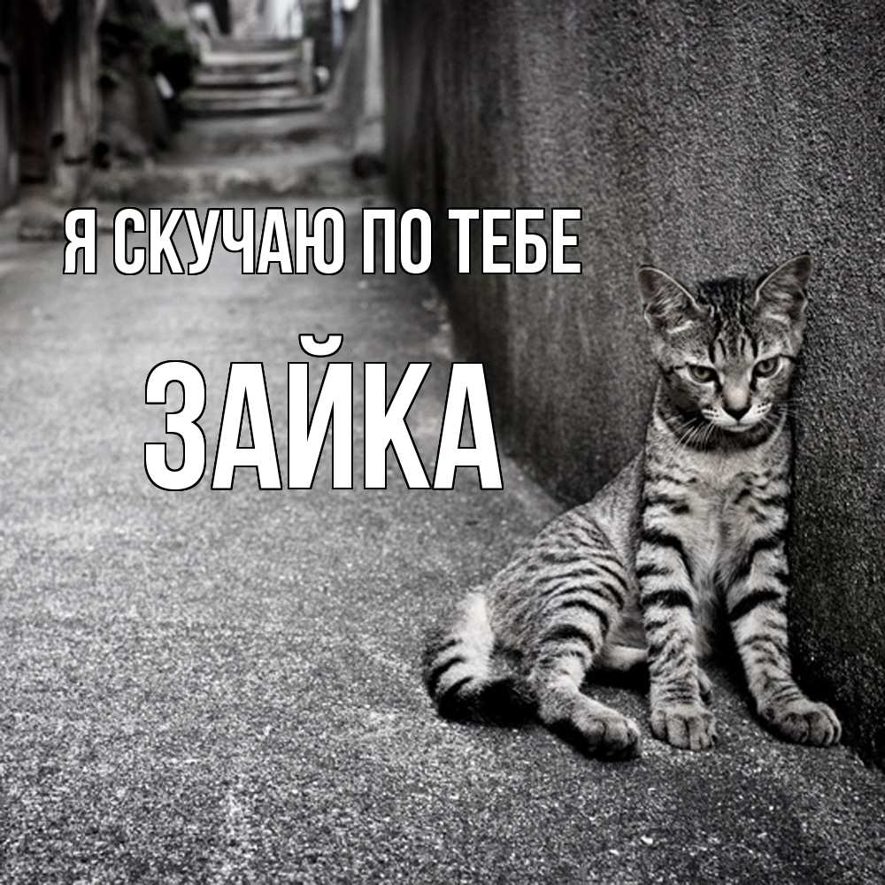 Открытка  с именем. Зайка, Я скучаю по тебе  